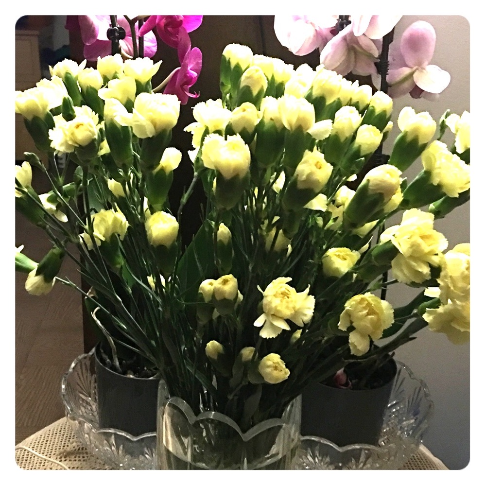 Good Morning  ❤️❤️